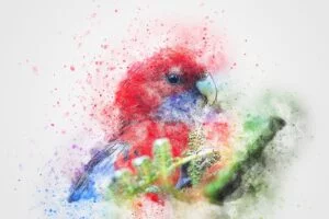 best birds painting