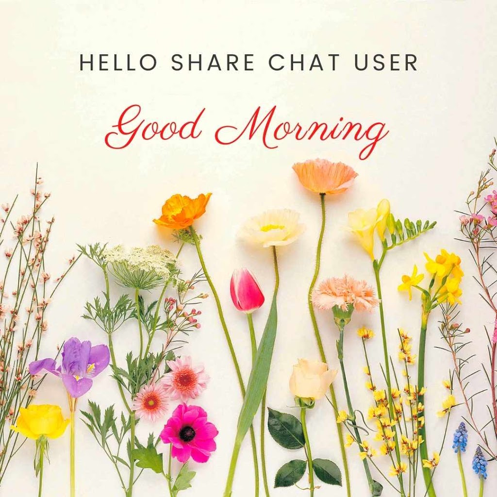 1 Share Chat Good Morning Images Hd With Quotes Download