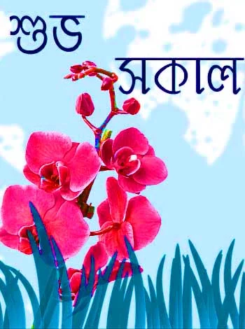 bengali good morning sms for lover
